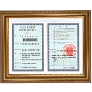 Original Organization Code Certificate